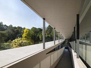 Connection to Nature|.